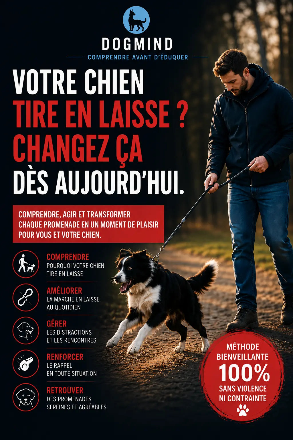DOGMIND - Votre Chien Tire en Laisse ? Changez ça dès Aujourd'hui